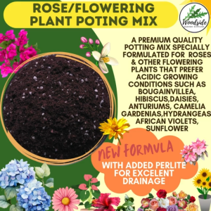 Rose Soil/ Flowering Plants Potting Mix A special Soil that contains all the nutrients for the Plant Growth