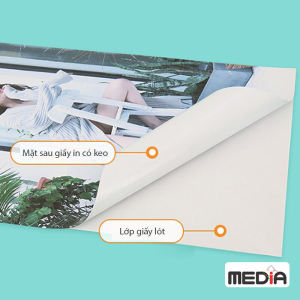 Giấy In Màu MEDIA Inkjet Nhãn Dán (Decal Sticker) Khổ A3/A4/A5/A6 Mặt Bóng (Glossy) 135gsm 50 Tờ Xấp Dùng In Ảnh Màu Nhãn Sản Phẩm Sticker