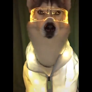 LED Glow-in-the-Dark Glasses for Children Fashion Show Cyberpunk Tech Cool Sunglasses Boys Girls Performance Accessories