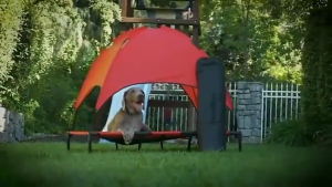 Portable Pet Camping Bed with Canopy Foldable Dog and Cat Tent - Lightweight for Indoor and Outdoo