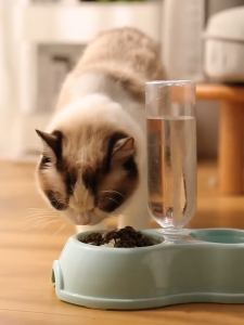 Pet Bowl Cat/Dog Bowl 2 In 1 Food Bowl Drinking Bottle Automatic Refill Easy To Clean Bowl Large Capacity Water Bowl Non-slip Feeder