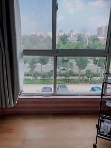 New Bird Cage: Big Parrot Cage & Budgerigar Cage - Easy to Move with Wheels, Strong and Durable