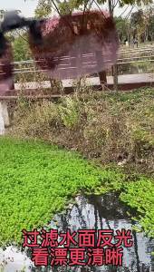 Klip Cermin Mata Memancing Ikan untuk Meningkatkan Cahaya Terpolarisasi Menonton Luaran Menonton Malam Myopia Merah Wain