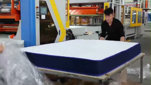 【SG Stock】Single/Queen/Super Single Latex Pocket Spring Mattress 20cm Thick Roll Packed Breathable Anti-Mite Mattress床垫