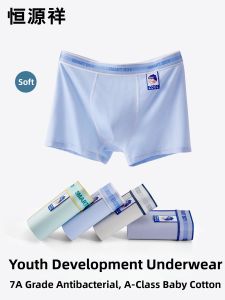 HENGYUANXIANG | Youth Cotton Cool Feel Moisture-Wicking Antibacterial Briefs