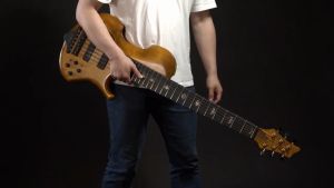 Olympia Acoustic Guitar String Full Set Custom Light PF-A1152 80/20 Bronze 10-47 Bright Crisp