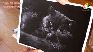 CB435A พร้อมส่ง หมึกคุณภาพดี สำหรับเครื่องพิมพ์ ปริ้นเตอร์ HP Laser Jet 35a P1005 P1006