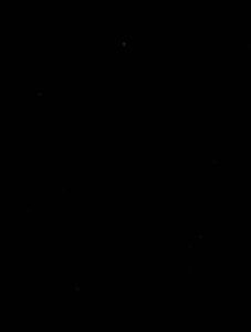 OXO Nhà Sản Xuất Bán Buôn Găng Tay Đấm Bốc Trẻ Em Người Lớn Găng Tay Sanda Tập Luyện Muay Thái Chiến Đấu Găng Tay Thể Dục