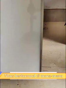 Isi 10Pcs Kamper Tikus Kecoa Kapur Barus Super Ampuh Kamper Pengusir Tikus Kecoa Kapur Barus Anti Serangga