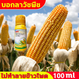 100g ยาฆ่าหญ้าข้าวโพด ฆ่าหญ้าข้าวโพด ราคาที่เหมาะสม ถูกกำจัดวัชพืชเท่านั้น ไม่ทำลายข้าวโพด สารกำจัดวัชพืชใบและใบกว้าง หญ้านกสีชมพู หญ้าดอกขาว หญ้าตีนกา ยาฉีดหญ้าข้าวโพด