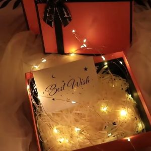 Lampu Tumblr Kawat Fairy Peri 1m 3m 5m Warna Warni Kuning kelap kelip Hias kamar kado aestetik