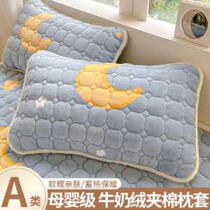 Warm Milk Velvet Pillowcases Pair Winter Fleece Soft Double Sided Envelope Closure Home Use Couples Full Head Size 48x74cm