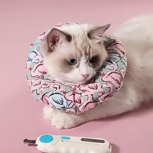 Kìm cắt móng cho Chó Mèo có đèn laser soi mạch máu (mẫu mới) - Hara Pet Store