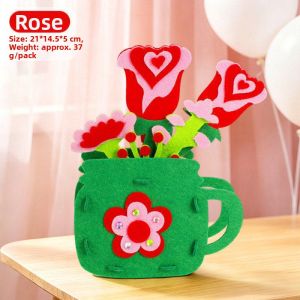 Feiyu | Mothers Day Creative Handmade DIY Kit Carnation Bouquet