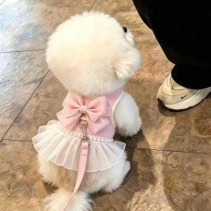 Detachable Bowknot Harness Leash