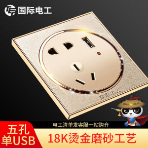 International Electrician round Switch Socket Panel Champagne Gold Two and Three Pins USB Socket Power Single USB Five-Hole Socket