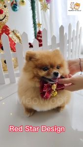 MEOWOOF Rantai Kucing Loceng Cat Collar With Bell Dog Collar Pet Collar Kitten Collar Cat Neck Collar Cat Colar