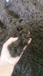 ชุด วัสดุ ดินปลูกเพาะชำต้นไม้