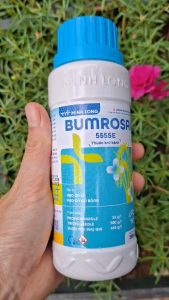 [TRUNG THIEN THINH] BUMROSAI 555SE Chai 200ml Trừ Đạo Ôn Lá Đạo Ôn Cổ Bông Trên Lúa Hiệu Quả Nhanh Bảo Vệ Năng Suất