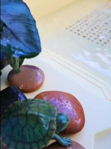 Sunsun Modern Turtle Tank with Filtration FG-T Series Turtle Tub