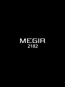 MEGIR 2182 Luxury Fashion Sports Chronograph Multi-Functional Military Leather Date Wristwatches for Men Relogio Masculino