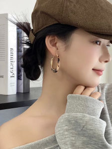 European and American Fashion Cool Leopard Print Cool Chic Acrylic Exaggerated Ear Ring Elegant Hoop Earrings 2024 New Arrival Trendy Women