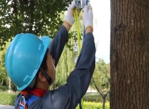 Safety Rock Climbing Arborist / Sliding Rope Grab / Perangkat Pengunci Otomatis Tali Pengaman