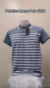 PALETTES Men's Polo Shirt - Trendy Korean Style with Collar #8875 - Cotton Spandex, Regular Fit, Stretchable - Sizes S, M, L, XL