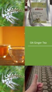 猫须姜茶 OA Ginger Tea