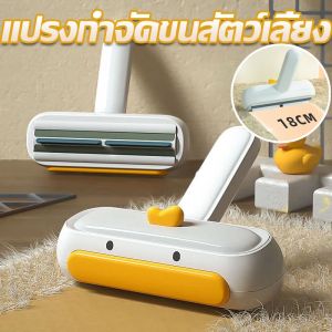 【Witte】แปรงกําจัดขนสัตว์เลี้ยง แปรงขนแมว แปรงขนสุนัขรุ่นอัพเกรด แปรงกำจัดเส้นผม เก็บฝุ่นในตัว