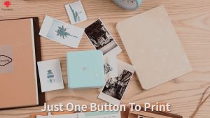 Phomemo 50mm Transparent Continuous Thermal Sticker For T02 M02 M03 M04S M04AS Printer