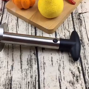 Stainless Steel Pineapple Knife Fruit Peeler Corer Slicer Cutter With Sharp Blade For Home