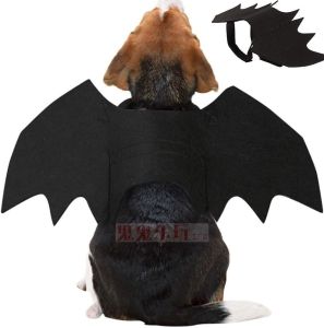 Halloween NPC Glowing Spider Bat Pet Costume Small Cat Small Dog Transformation Clothing Cosplay Props Funny Dress up