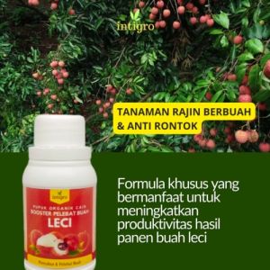 Pupuk Booster Pelebat Buah Leci Organik Cair