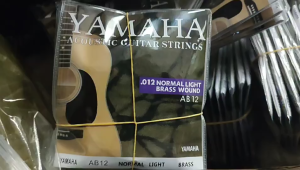 Folk Guitar Strings Full Set Brass Wood Guitar Strings for Universal Folk Acoustic Guitar Accories