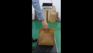 Beg Kertas / Paper D Bag/ Paper D-Cut Bag Kraft Brown / Brown Kraft Paper Bag / Handle Paper Bag / Gift Bag / beg kertas (25 PCS+-)