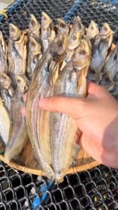 500gr Khô Cá Trèn Đều Con phơi khô cá có màu vàng nâu đẹp mắt- ĐẶC SẢN MINH TRIẾT