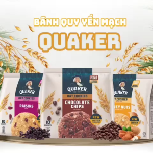 Bánh Quy Yến Mạch Quaker Hương Socola Túi 10 Gói X 25G