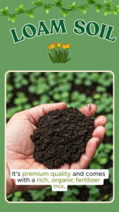 LOAM SOIL 8 kilos ORGANIC SOIL COMPLETE WITH VERMACIST FERTILIZER GOOD FOR ALL PLANTS