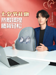 SKG | Heating Back Massager For Car Use Gift