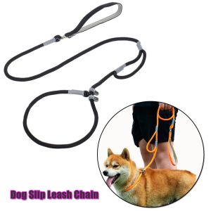 Nylon Slip Lead Dog Slip Leash and Collar Dog Training Leash with Double Handle Heavy Duty Dog Lead No Pull Puppy Walking Leash
