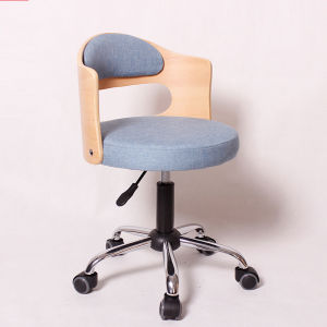 DANBIYIN | New Simple Adjustable Rotating Chair