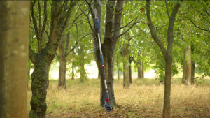 Bosch Brushless Telescopic Pruner / Pemangkas Teleskopik Baterai 18V 23CM GKE 18V-25 TP (UNIT ONLY)