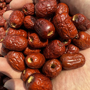 Nuke Red Date Dried Fruits Xinjiang Grey Date Soup Cooking Porridge Seedless No Pit Snacks from Hebei Province Pack of 500g