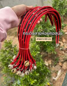 ✅พร้อมส่ง ปอกคอสุนัข ปอกคอแมว สัตว์เลี้ยงขนาดเล็ก