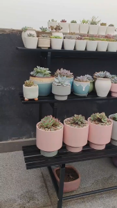 AiHouse ชั้นวางต้นไม้ รับน้ำหนักได้ 120กก. พร้อมที่แขวน 3/4ชั้น ชั้นวางกระถางต้นไม้ กันน้ำกันสนิม ชั้นวางดอกไม้ มีล้อ