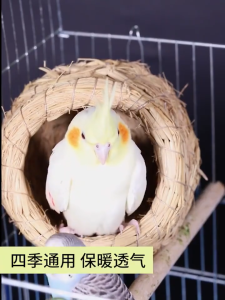 บ้านนก รังฟางนก รังนอน พร้อมหญ้าราฟฟี่ หญ้านุ่ม บ้านชูก้าร์ บ้านหนู ทำจากหญ้าธรรมชาติ สำหรับ ฟอพัส เลิฟเบิด หงหยก