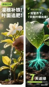 #SG LOCAL#Home Gardening Ferrous Sulfate Water-Soluble Acidic Fertilizer Yellow Leaf Universal Type Gardenia Plant Flower Special Fertilizer