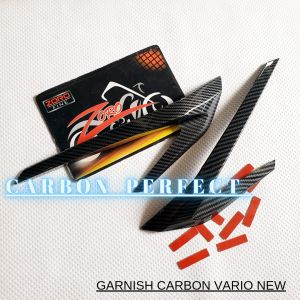 Garnish Carbon Headlamp Vario 150/125 karbon wtp alis import carbon ZORO
