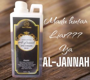 madu hutan liar apis dorsata asli tanpa campuran